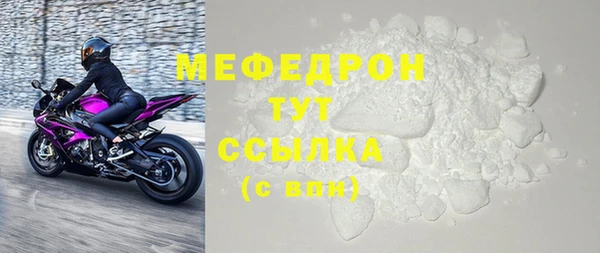 шишки Няндома