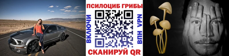 Псилоцибиновые грибы мицелий  Кунгур 